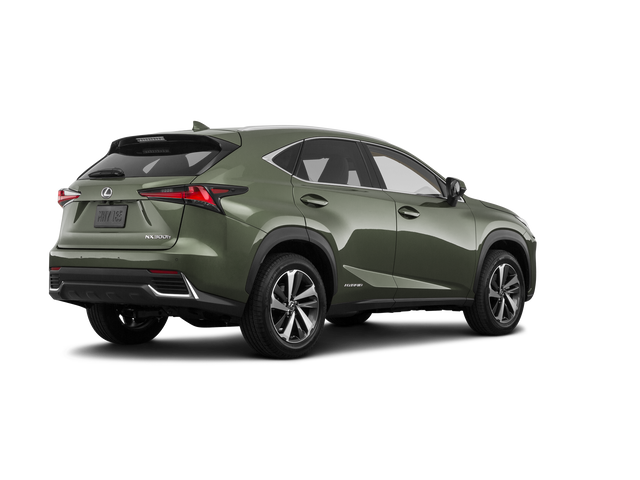 2021 Lexus NX 300h